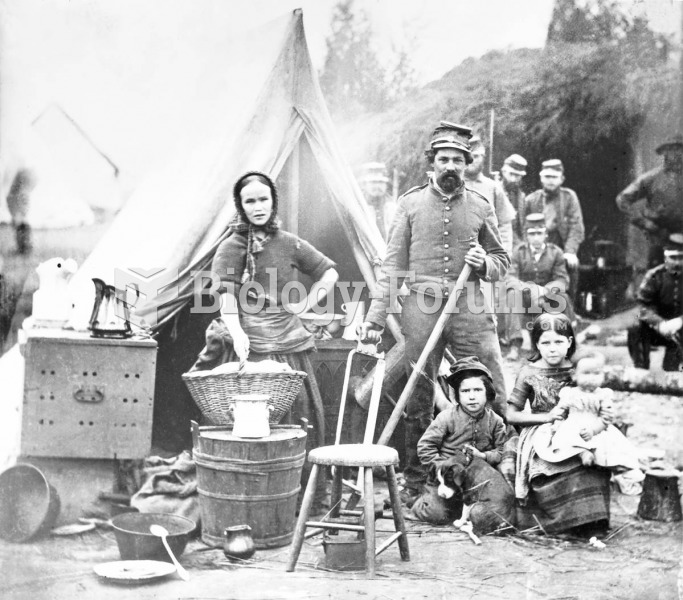 The family of a soldier in the 31st Philadelphia Infantry camps near Washington, DC. Although both a