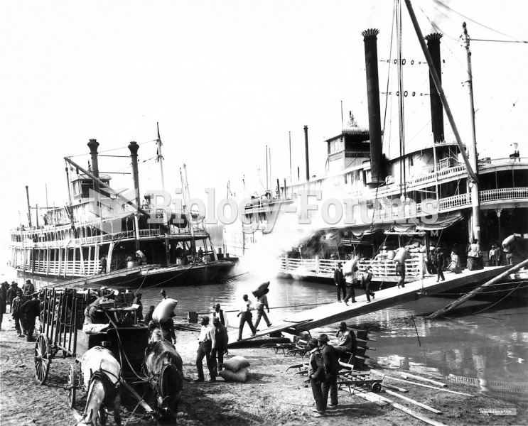 A sidewheeler on the Mississippi. In 1856 Samuel Clemens became an apprentice to a steamboat pilot a