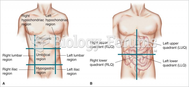 Regions of the abdomen and pelvis. 