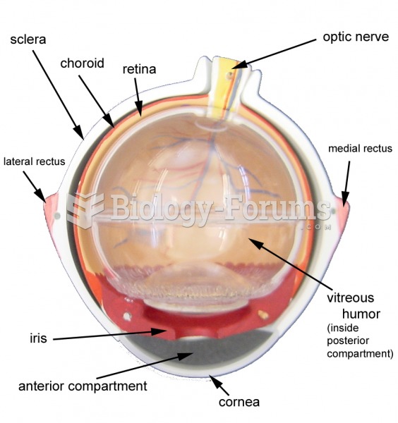 Eye Model