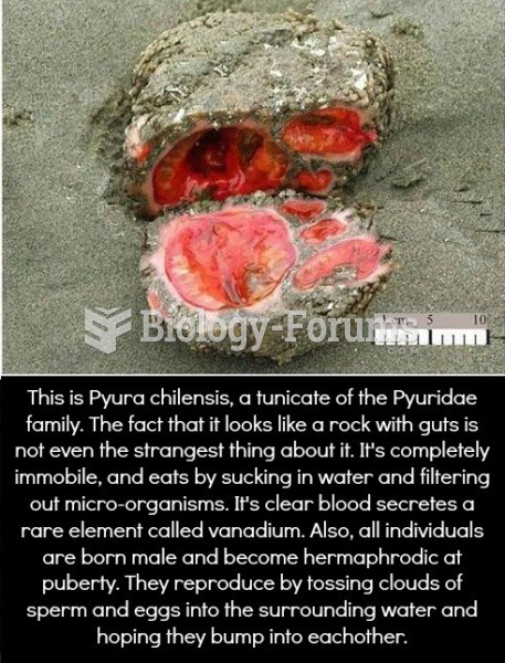 Tunicates in general are pretty weird.