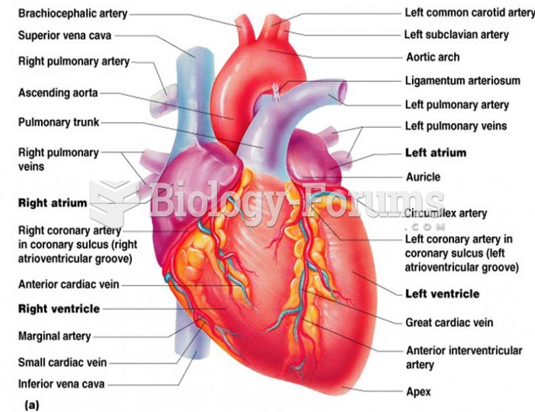 External anatomy of the heart