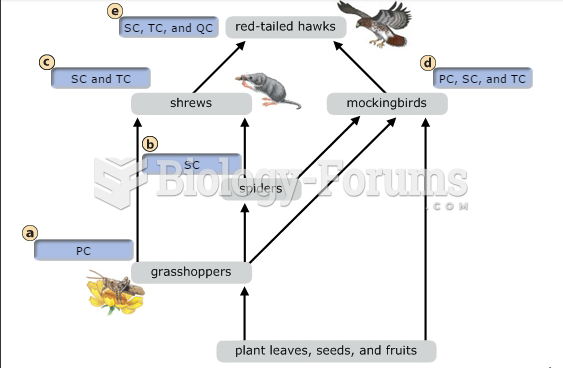 Learning through Art: Food Webs