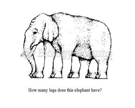 Elephant legs?