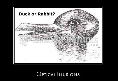 Duck or rabbit