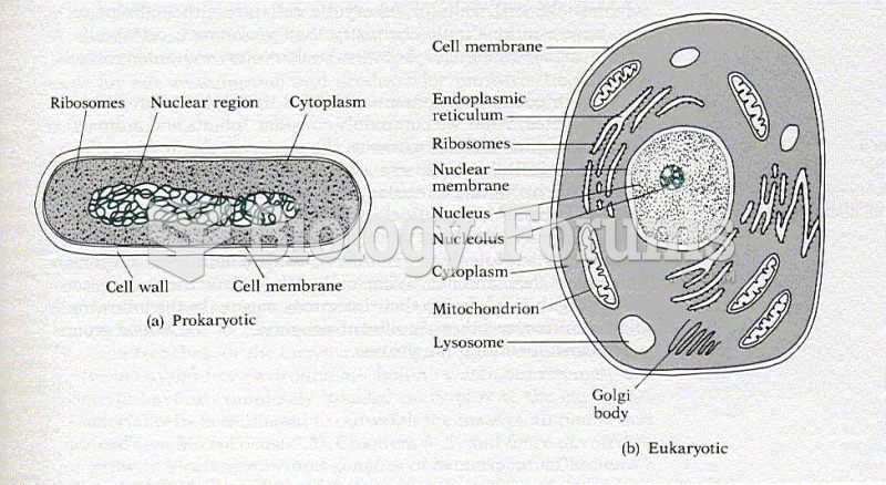 prokaryotic
