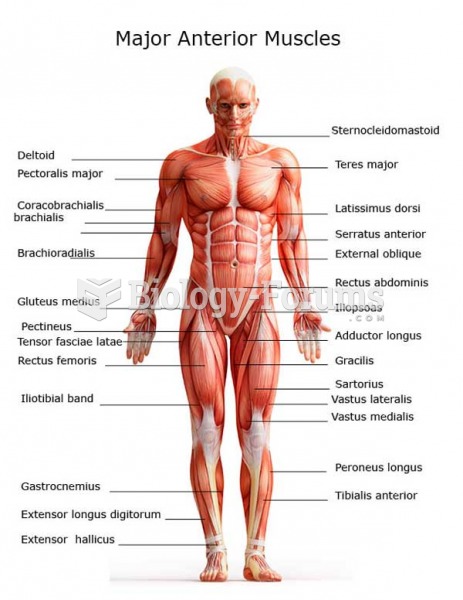 Anterior Muscles