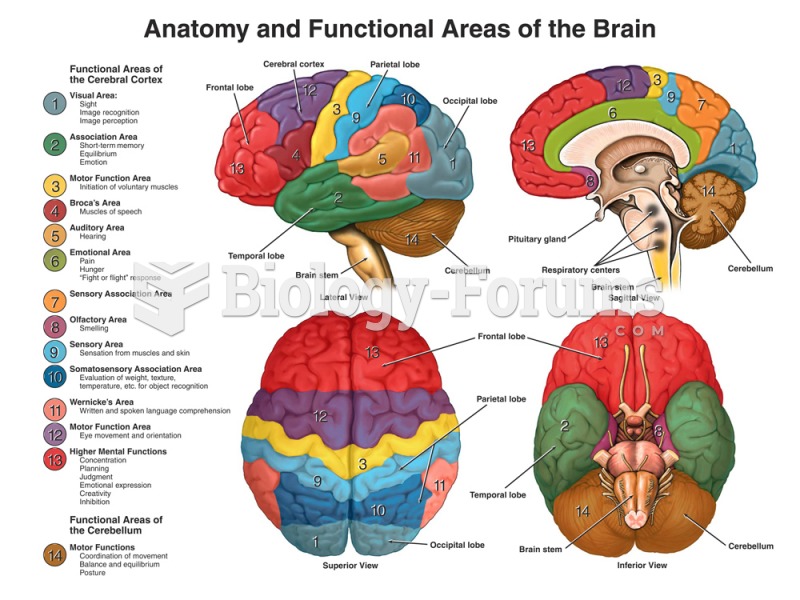 Brain Anatomy and Functions