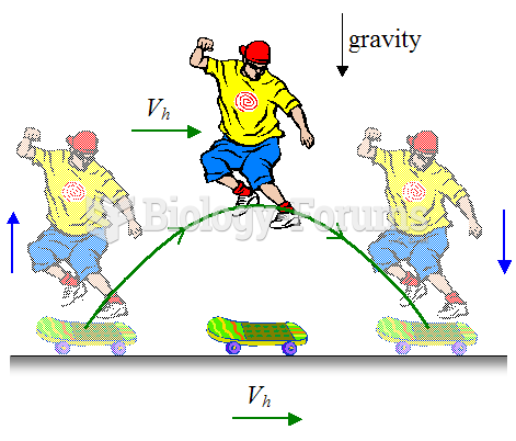 Skateboard Physics
