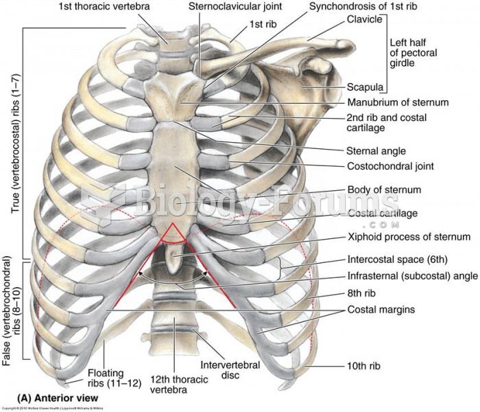 Thorax Anterior view of human body
