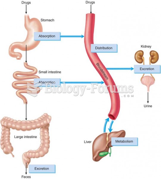 The four processes of pharmacokinetics: absorption, distribution, metabolism, and excretion