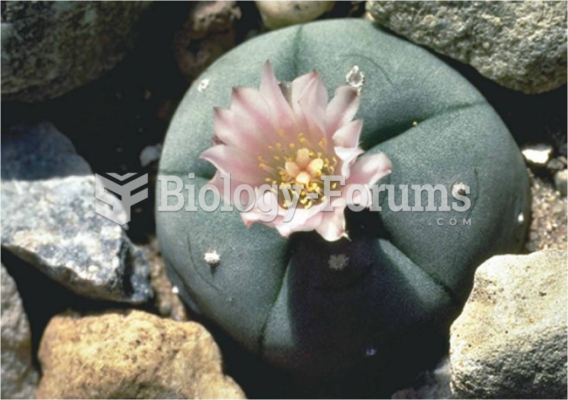 The chemical structure of mescaline, derived from the peyote cactus 