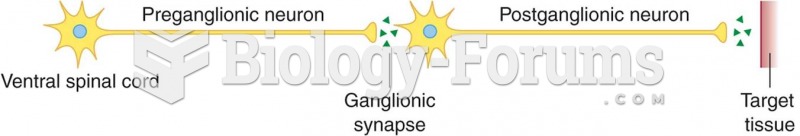 Basic structure of the autonomic pathway