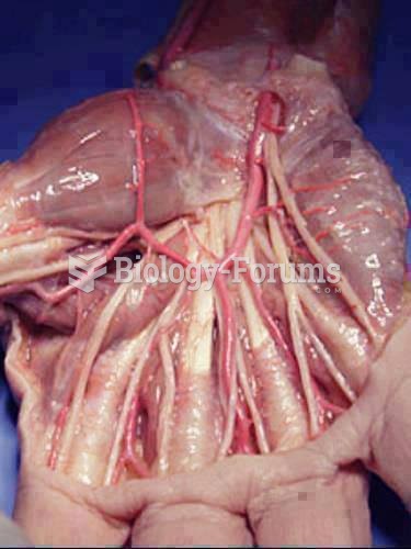 Human hand and wrist anatomy
