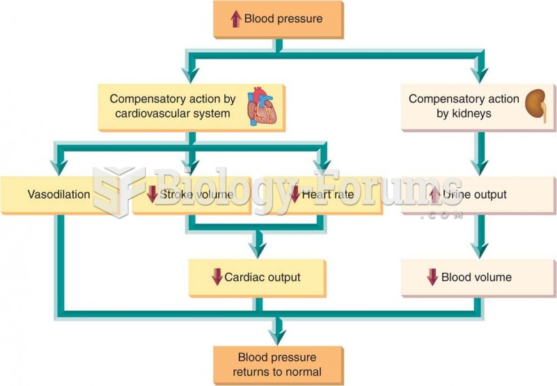 Blood pressure homeostasis