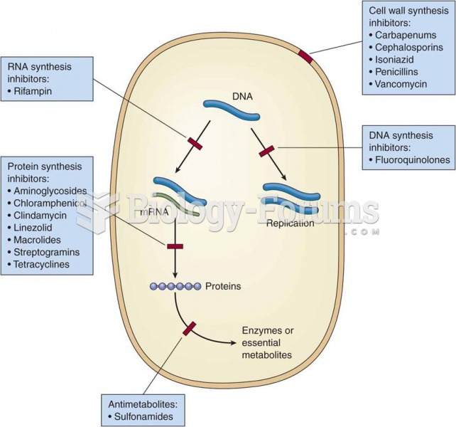  Mechanisms of action of antimicrobial drugs