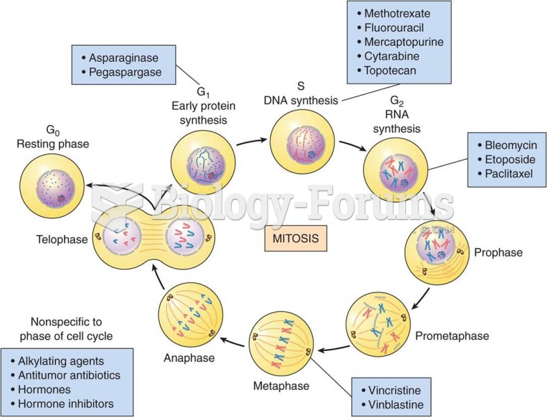 Antineoplastic agents and the cell cycle