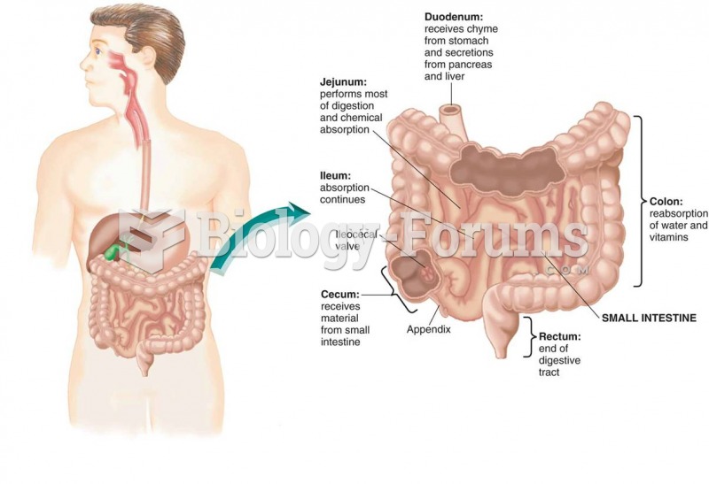 The digestive system: functions of the small intestine and large intestine (colon) 