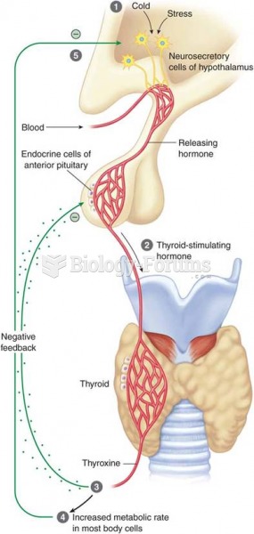 Feedback mechanisms of the thyroid gland: (1) stimulus; (2) release of TSH; (3) release of thyroid h
