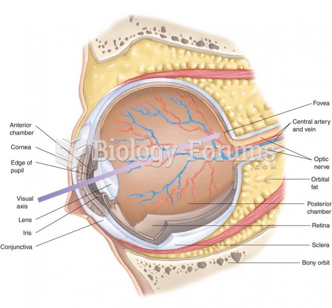 Internal structures of the eye 