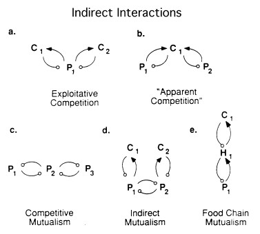 Indirect Interaction (Foodwebs)