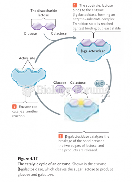 The Enzyme Cycle