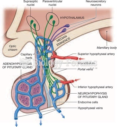 Blood supply to the pituitary gland