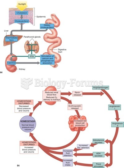 endocrine function of the kidneys