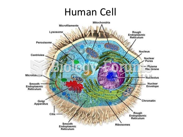 Human Cell Anatomy