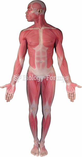 Muscular system