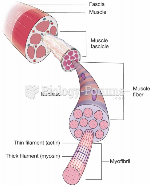 Parts of a muscle