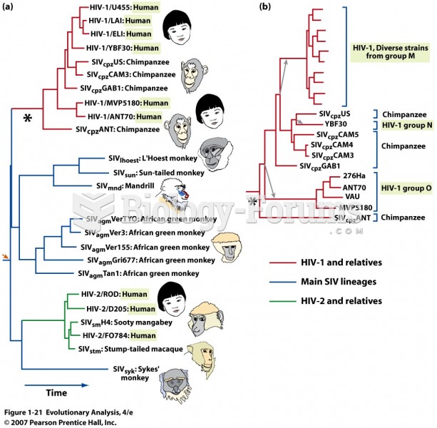 The family tree of HIV and related viruses