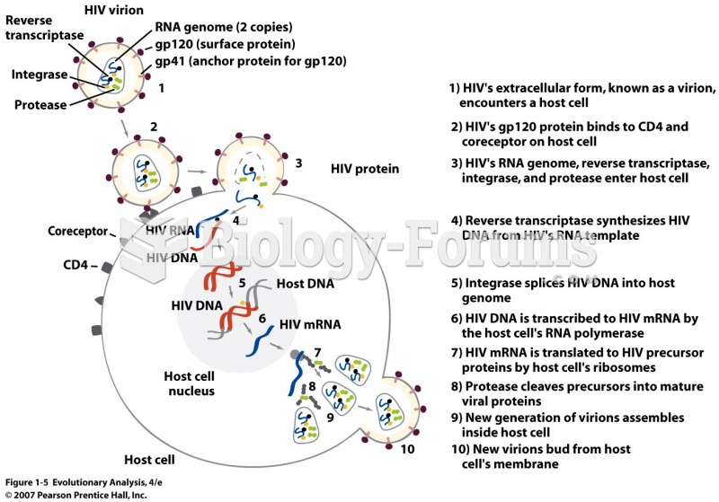 The life cycle of HIV