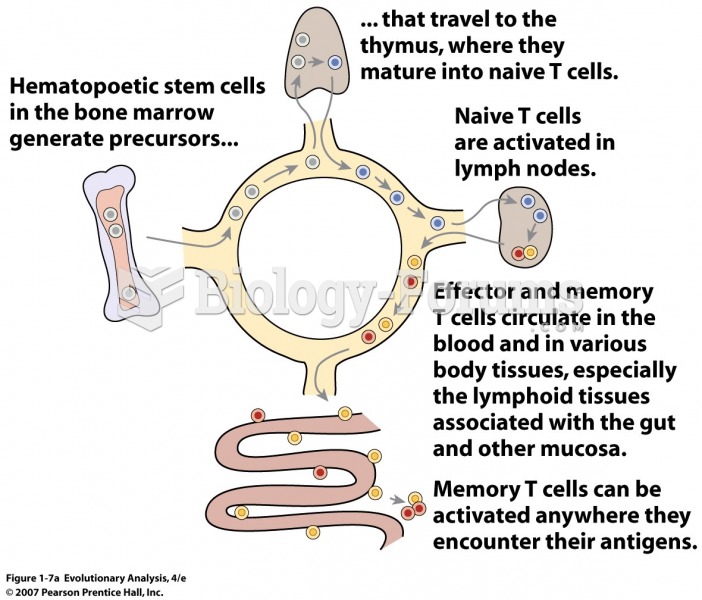 The life history of T cells