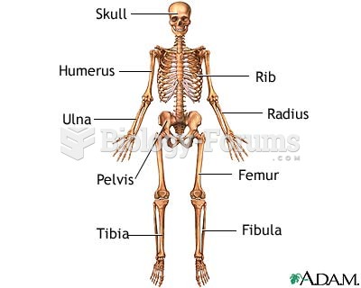 anterior skeletal