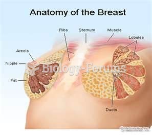 breast anatomy