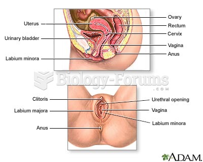 external structure of female reproductive system