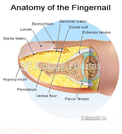 Anatomy of the Fingernail