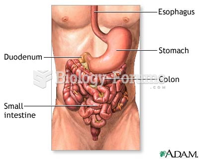 lower digestive