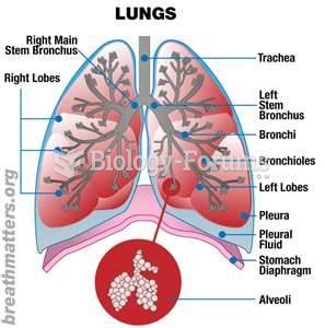 lungs 2
