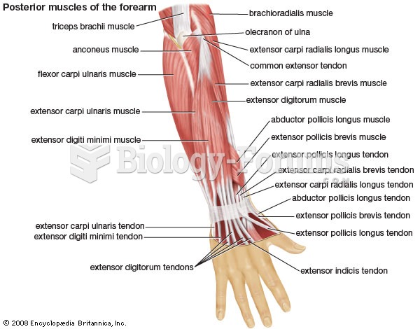 muscles of forearm