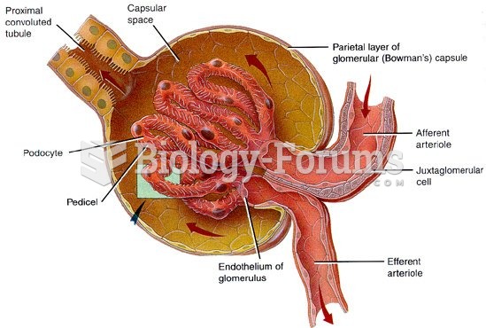 Bowman's Capsule (Kidney)