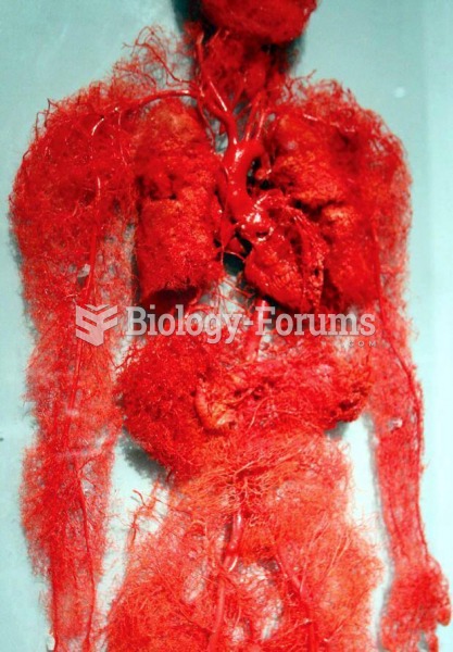 The beautiful blood vessels of the human body