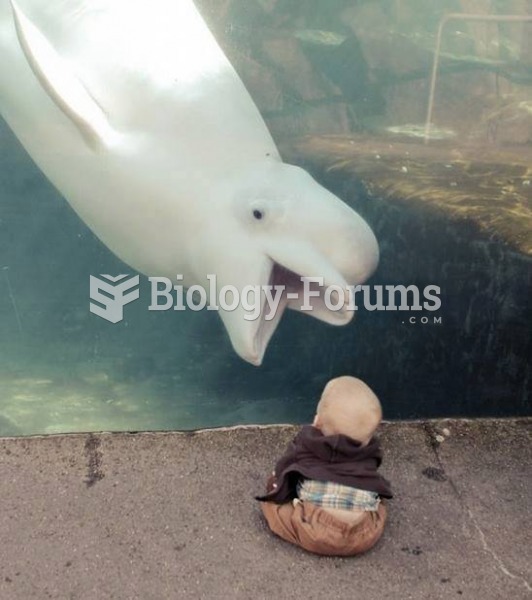 Dolphin attempts to eat baby
