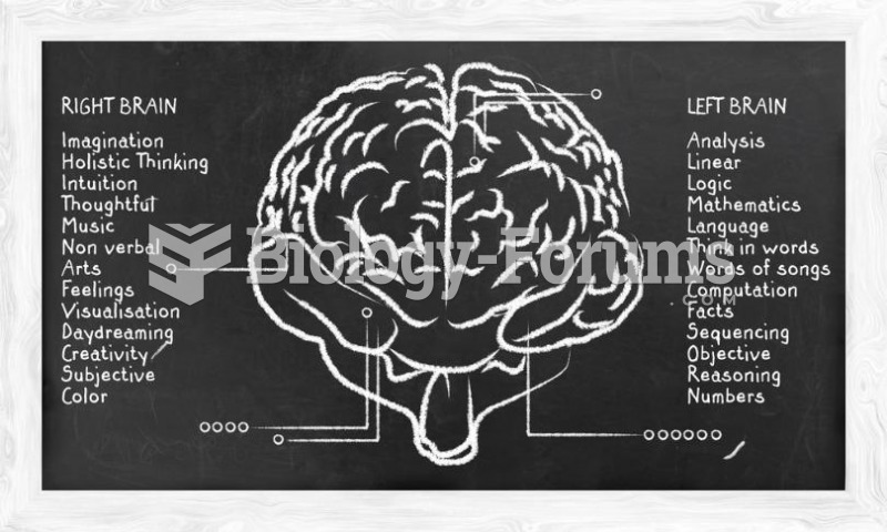 Left Brain, Right Brain