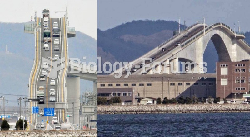 Bridge in Japan