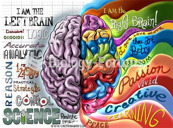 Brain types