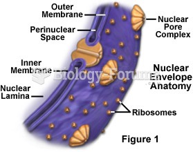 Nuclear Membrane