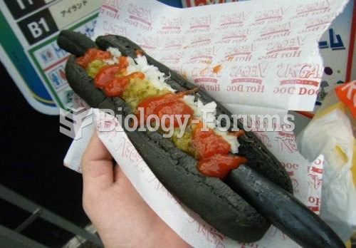 Black Terra Hot Dog