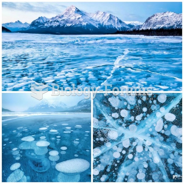 Abraham Lake